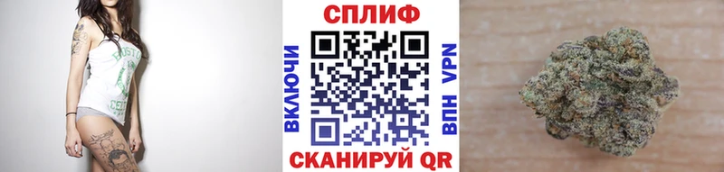 Купить закладку Бошки Шишки  МЕФ  СК  АМФ  Гашиш  Балтийск