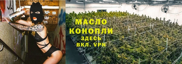 сатива Медногорск