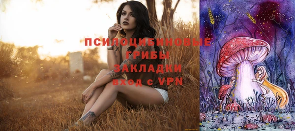МДПВ Михайловка