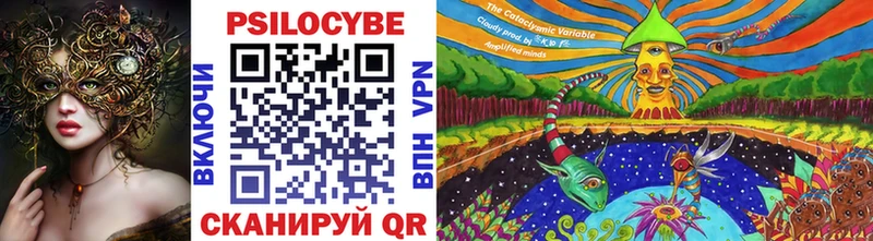 Псилоцибиновые грибы GOLDEN TEACHER  Купить где  Балтийск 