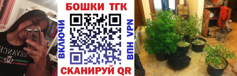 Бошки Шишки SATIVA & INDICA  Купить где  Балтийск 